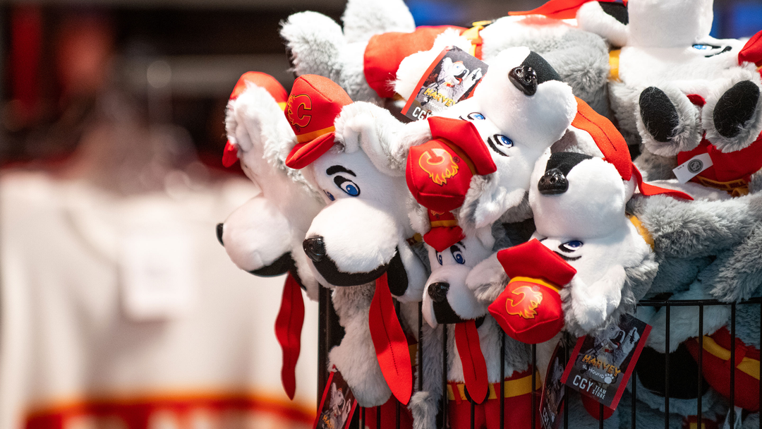 CGY Team Store na platformě X: „Our #Flames Fan Chains are back in