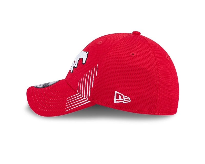 Stamps NE 3930 Active Stripes Cap